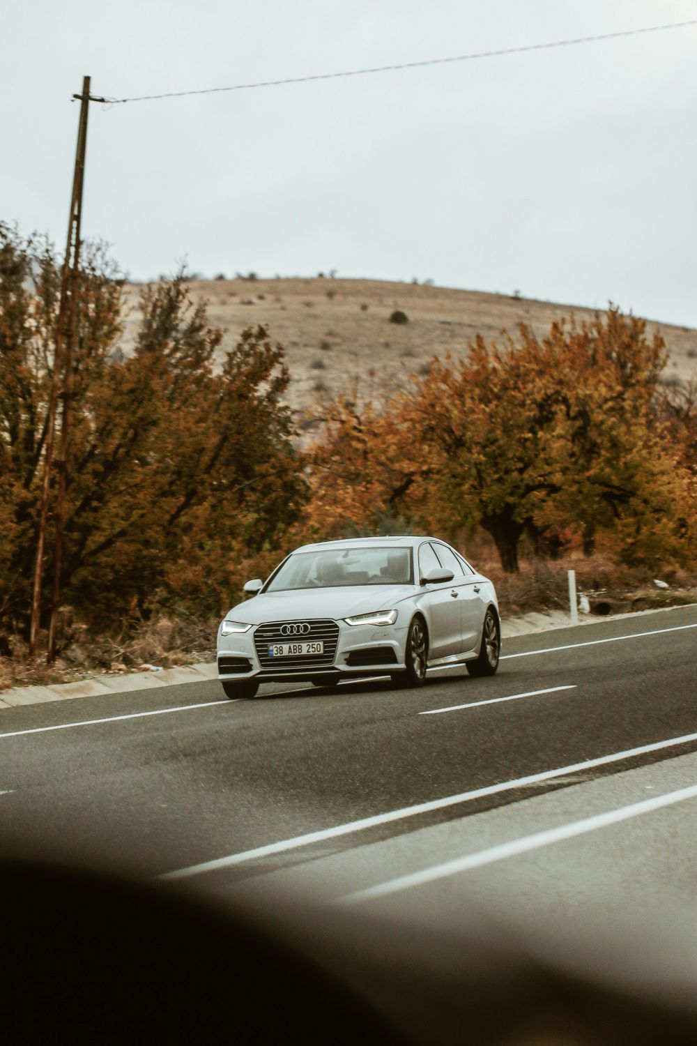 S&auml;songsf&ouml;rberedelser & Klimatanpassning