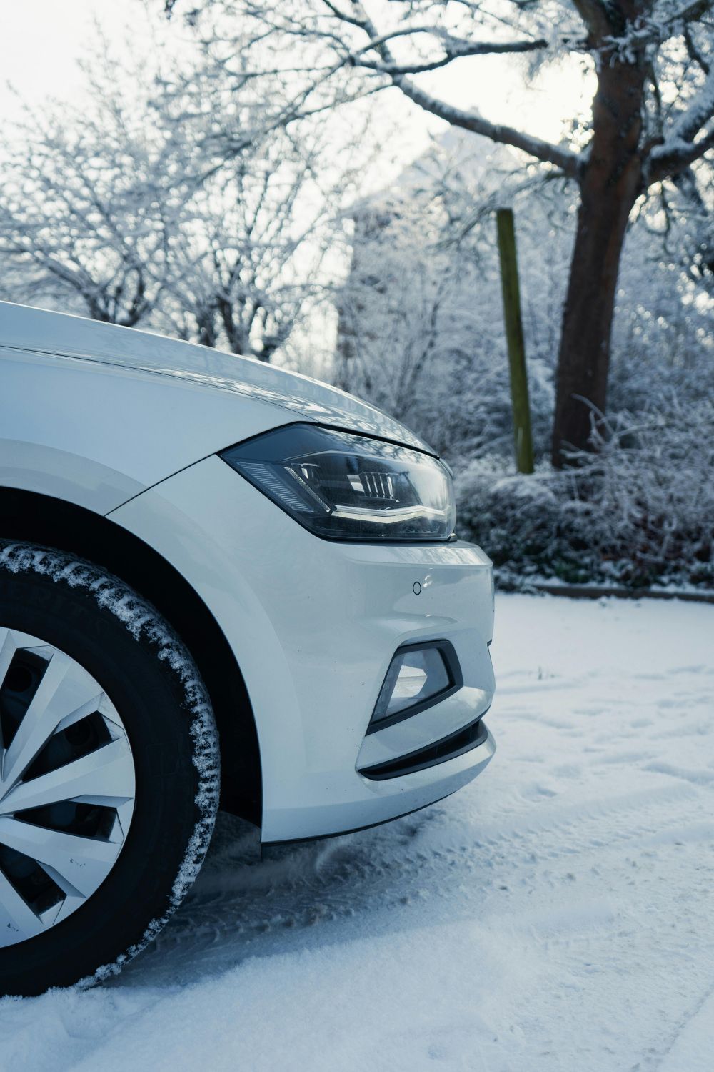 S&auml;songsf&ouml;rberedelser & Klimatanpassning