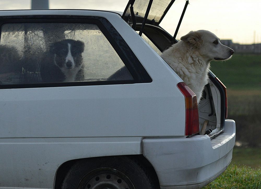 Resor & Roadtrips
