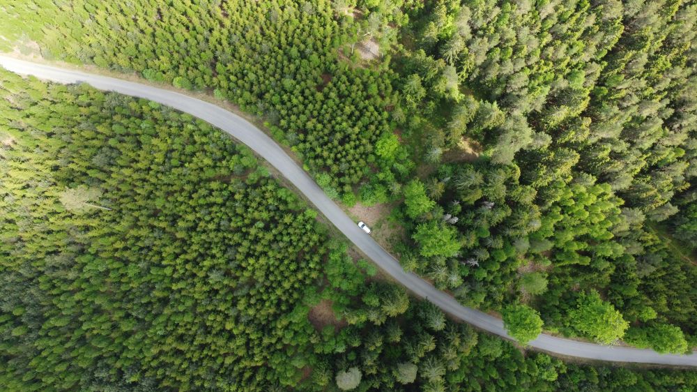 Resor & Roadtrips