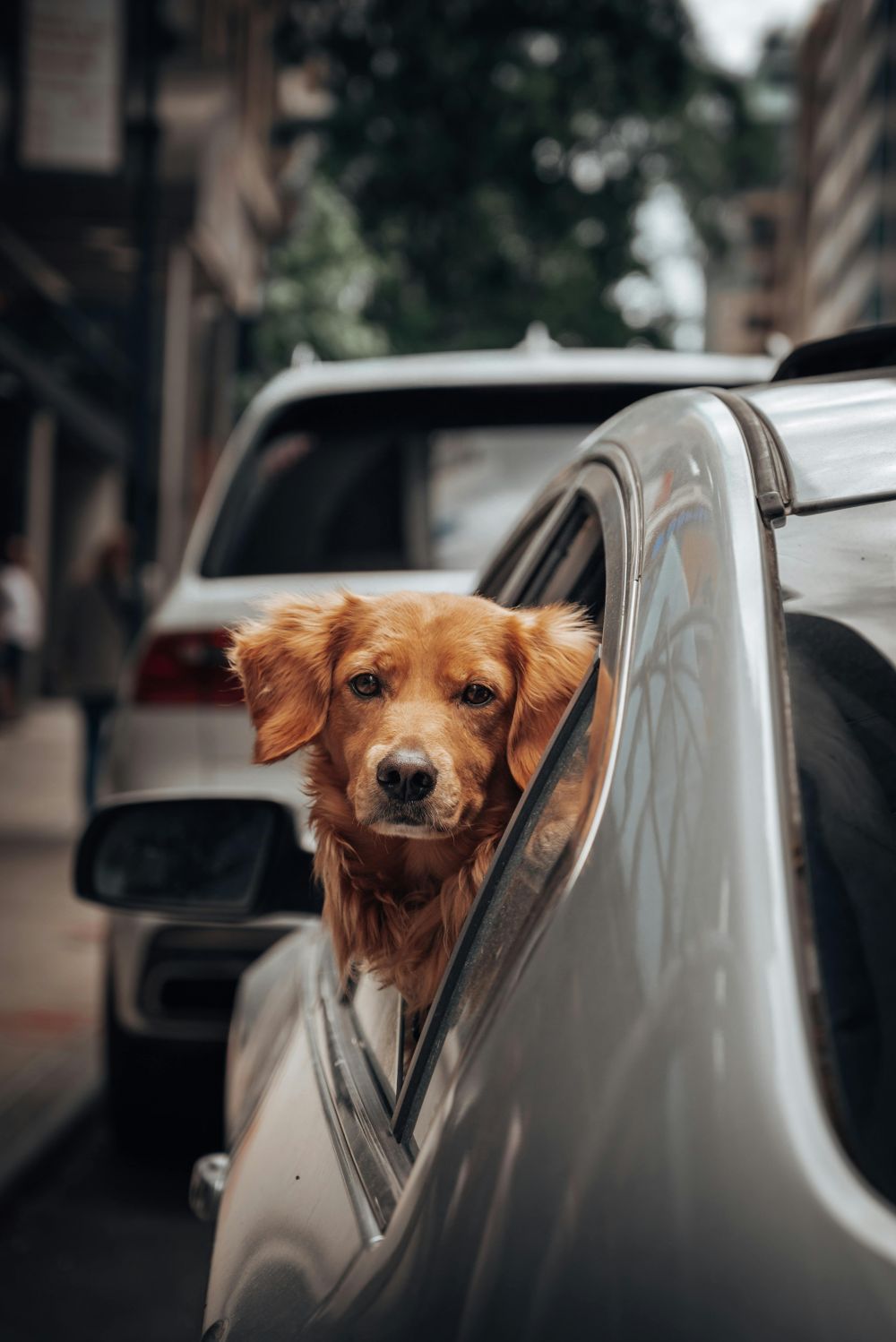 Resor & Roadtrips