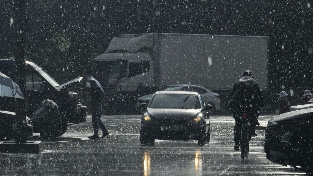 S&auml;songsf&ouml;rberedelser & Klimatanpassning