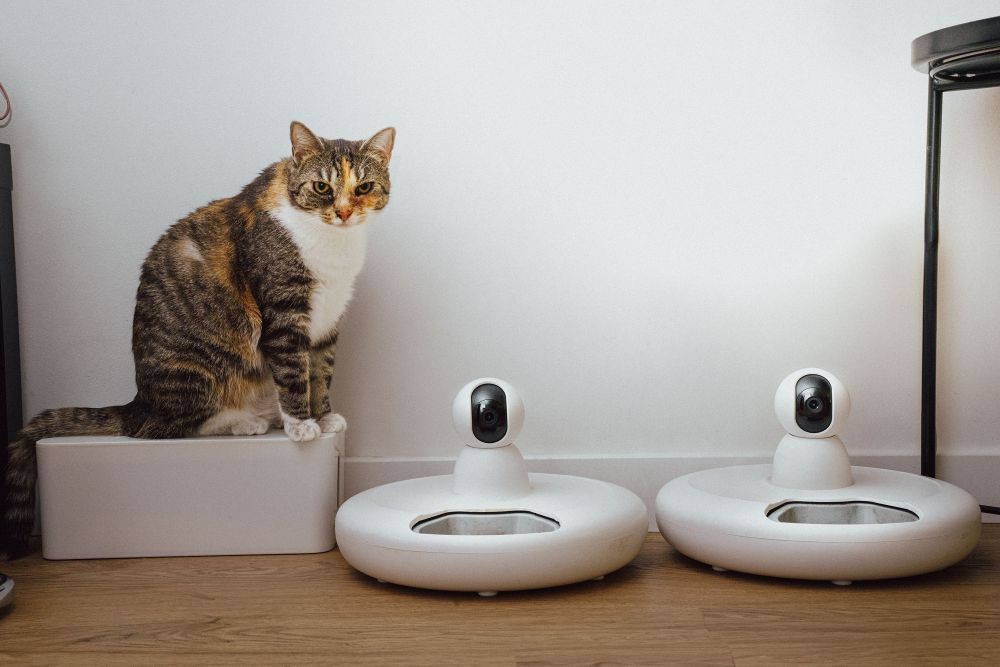 Smarta Hem & IoT