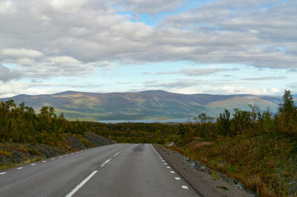 Miljö & Hållbarhet