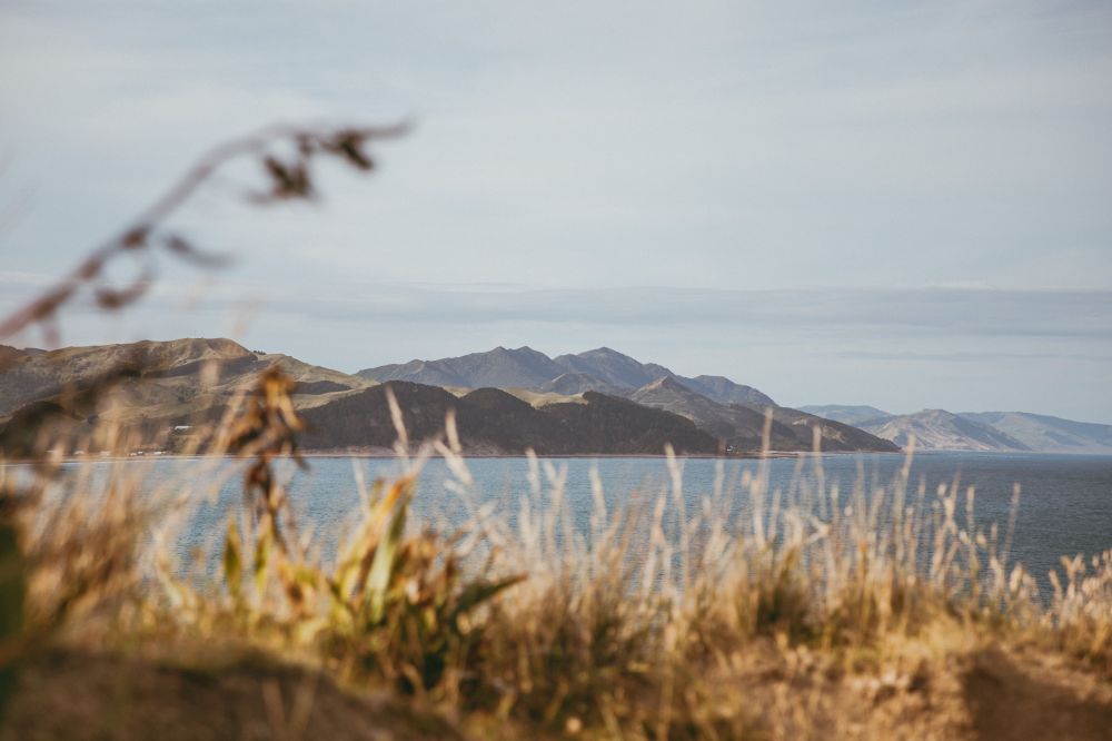 Buyer’s advice in North Zealand