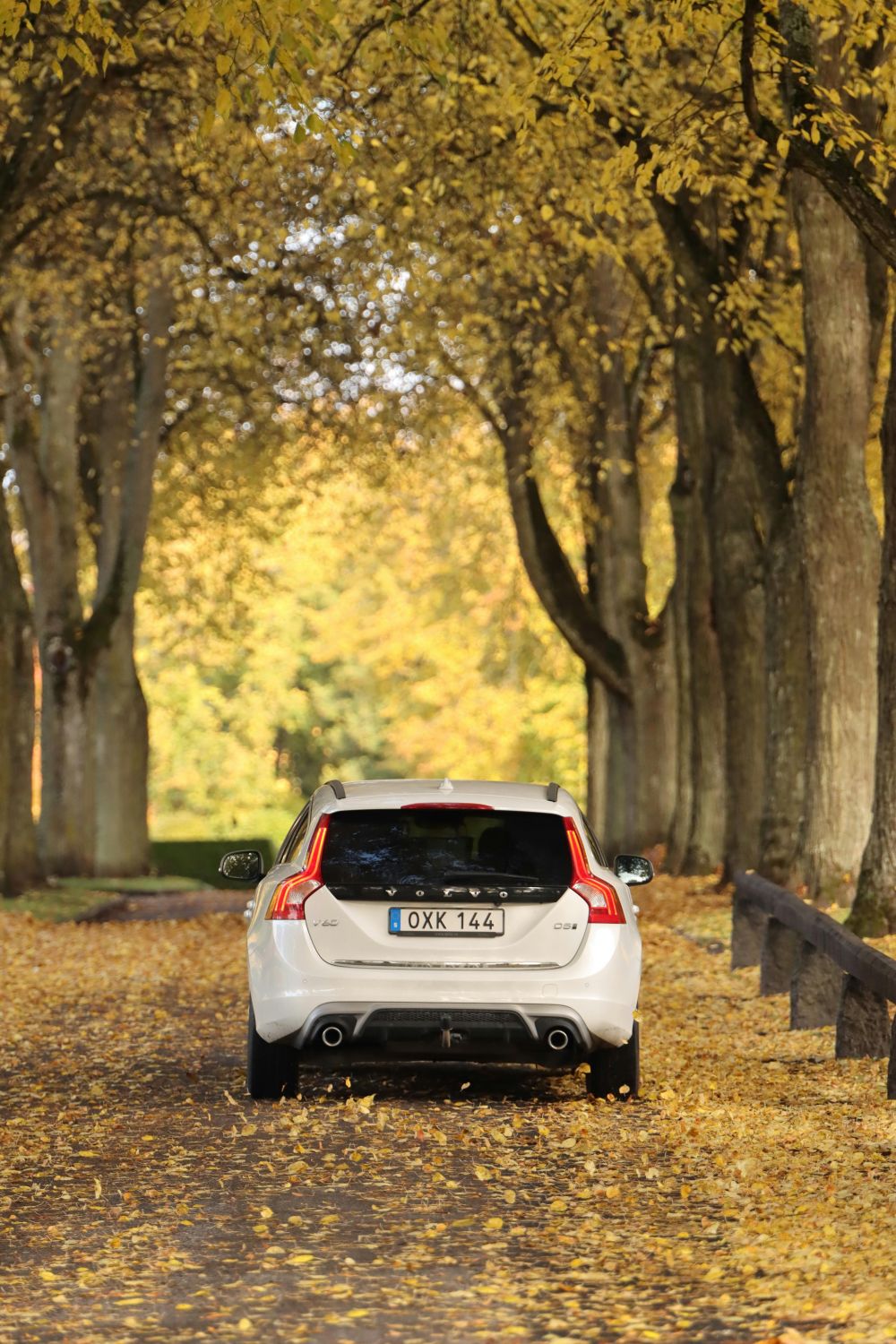 D&auml;ck, fj&auml;dring & v&auml;xell&aring;da