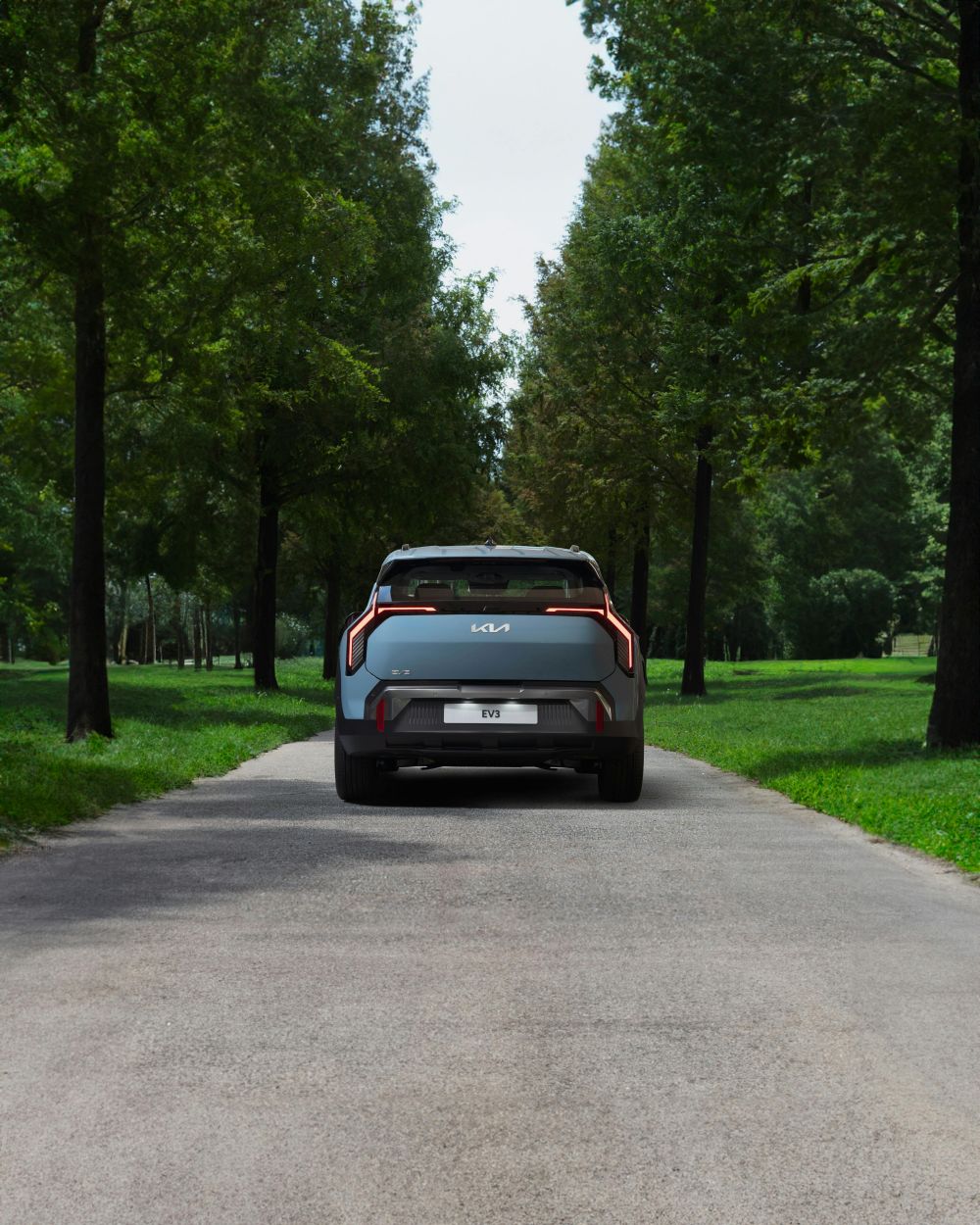 D&auml;ck, fj&auml;dring & v&auml;xell&aring;da