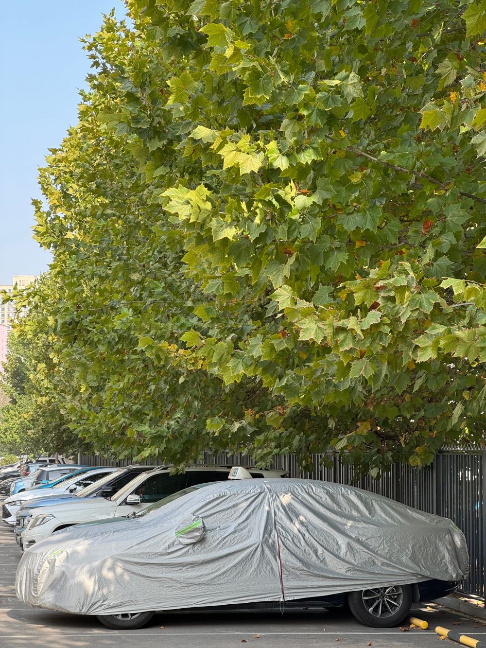 Säsongsförberedelser & Klimatanpassning