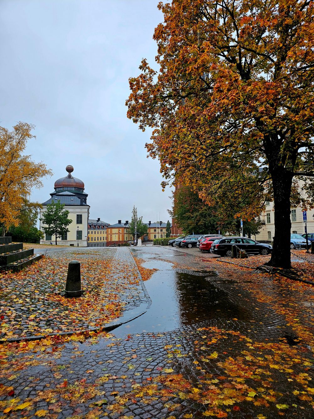 S&auml;songsf&ouml;rberedelser & Klimatanpassning