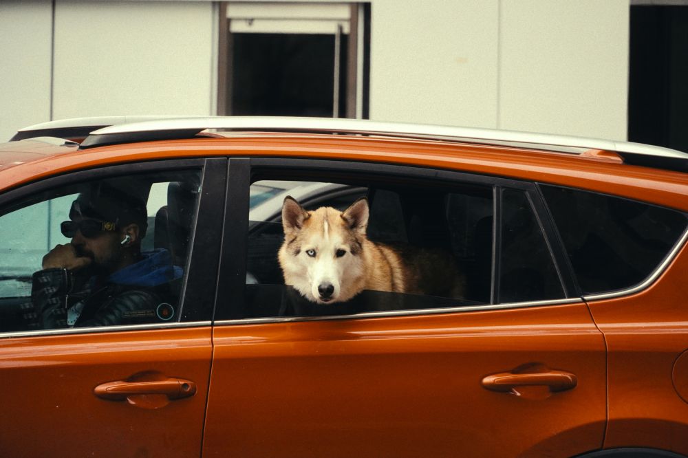 Resor & Roadtrips