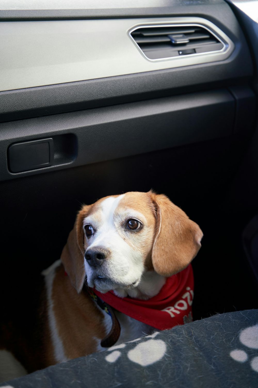 Reng&ouml;ring & Bilv&aring;rd