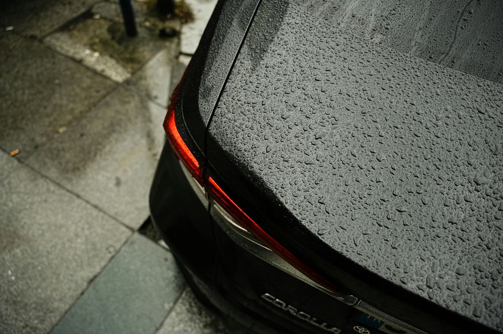 S&auml;songsf&ouml;rberedelser & Klimatanpassning