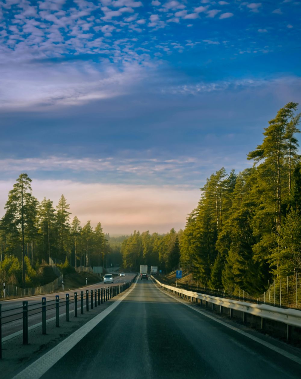 S&auml;songsf&ouml;rberedelser & Klimatanpassning
