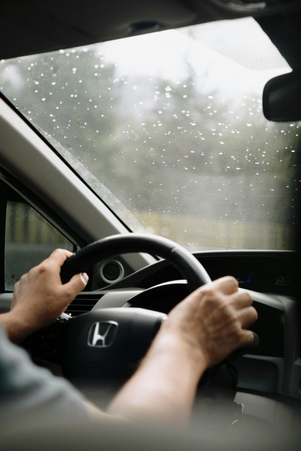 S&auml;songsf&ouml;rberedelser & Klimatanpassning