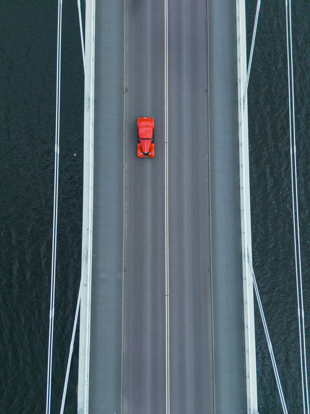 D&auml;ck, fj&auml;dring & v&auml;xell&aring;da