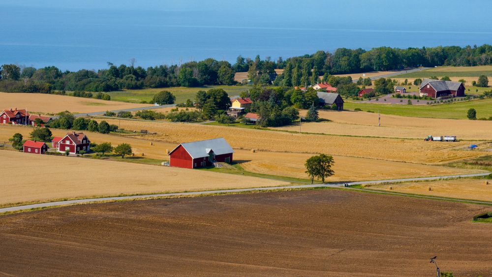 Övrigt