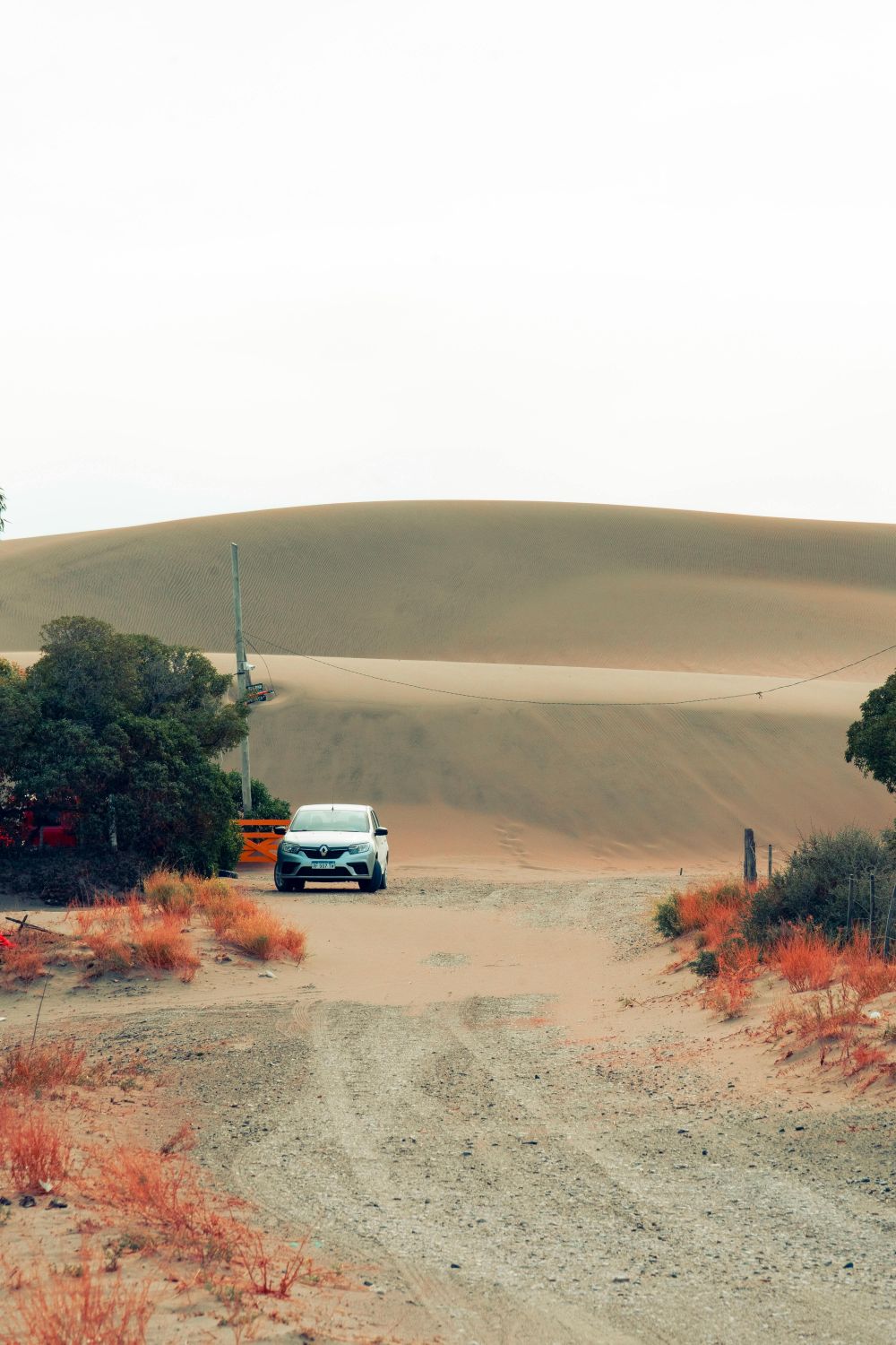 S&auml;songsf&ouml;rberedelser & Klimatanpassning