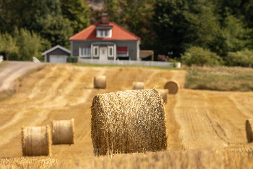 AI & Maskininl&auml;rning