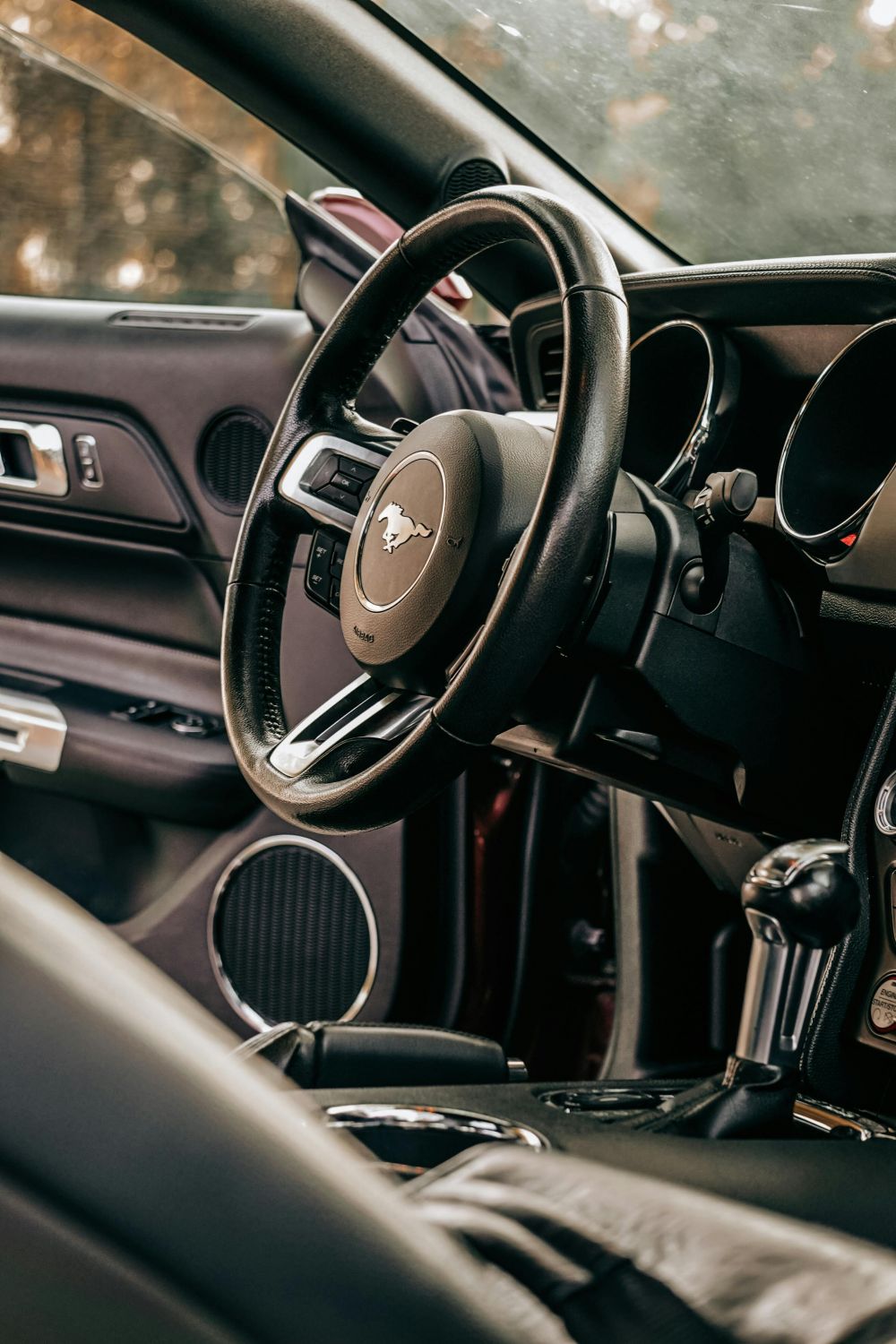 Reng&ouml;ring & Bilv&aring;rd