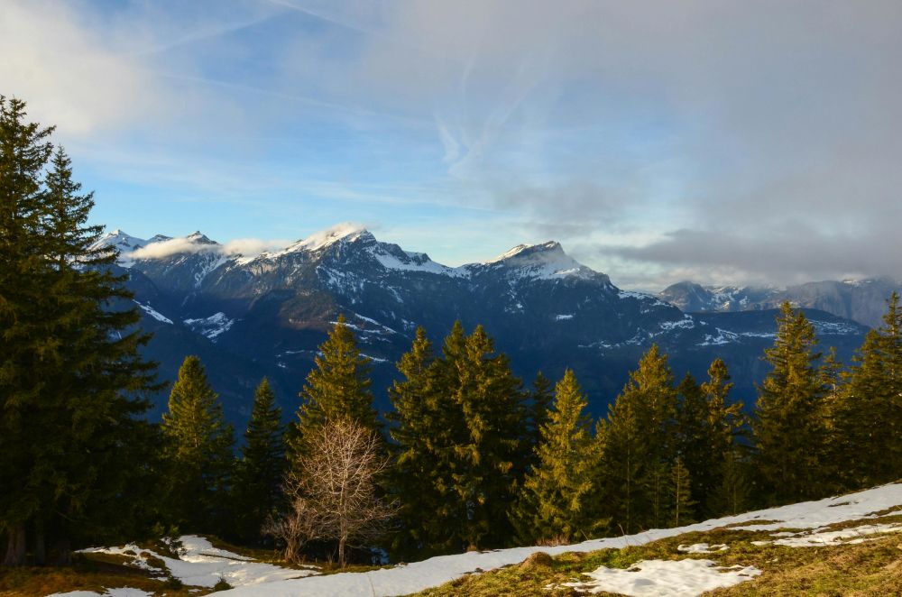 Exhaust air heat pump