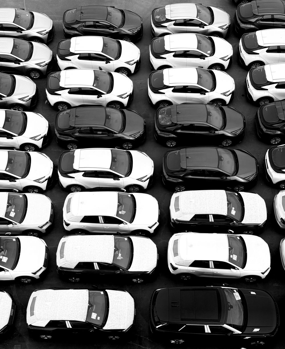 Milj&ouml; & H&aring;llbarhet