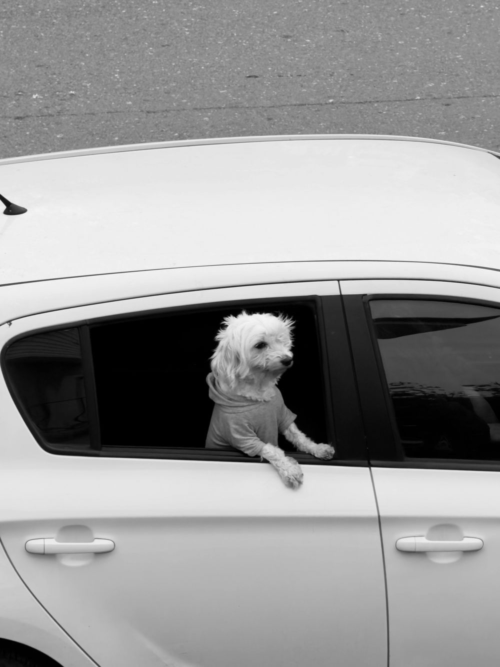 Resor & Roadtrips