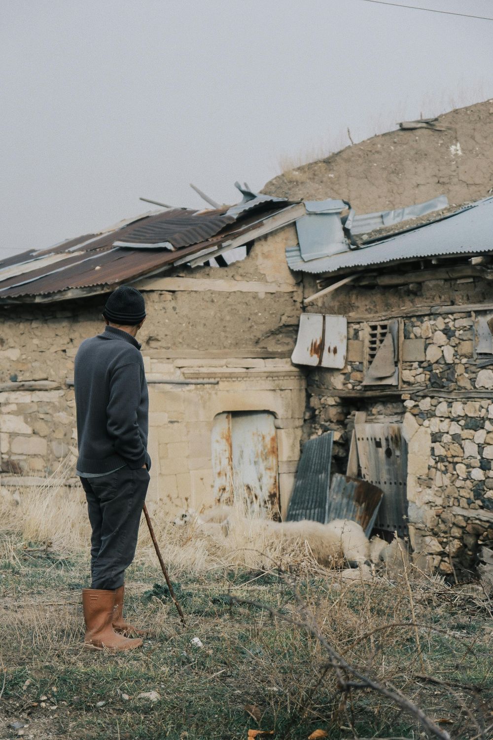 Hire a hot dog stand on Funen