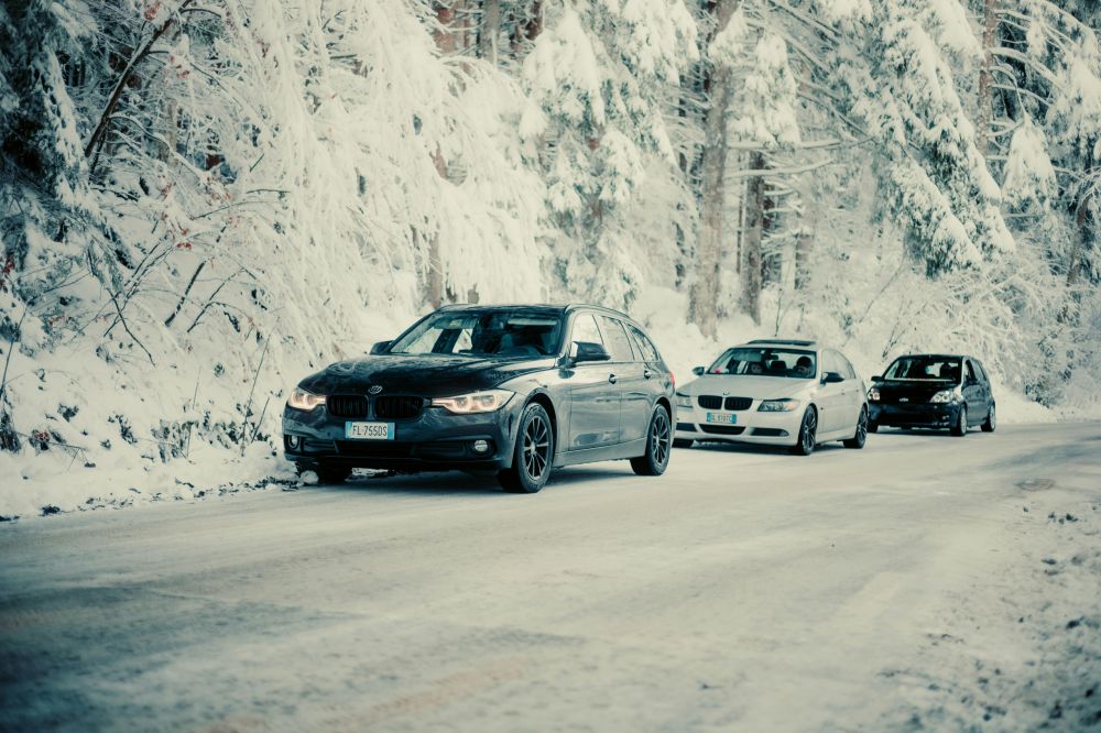 S&auml;songsf&ouml;rberedelser & Klimatanpassning