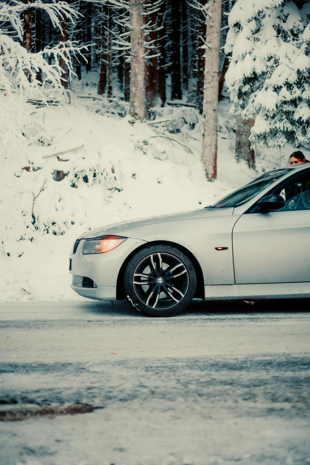 S&auml;songsf&ouml;rberedelser & Klimatanpassning