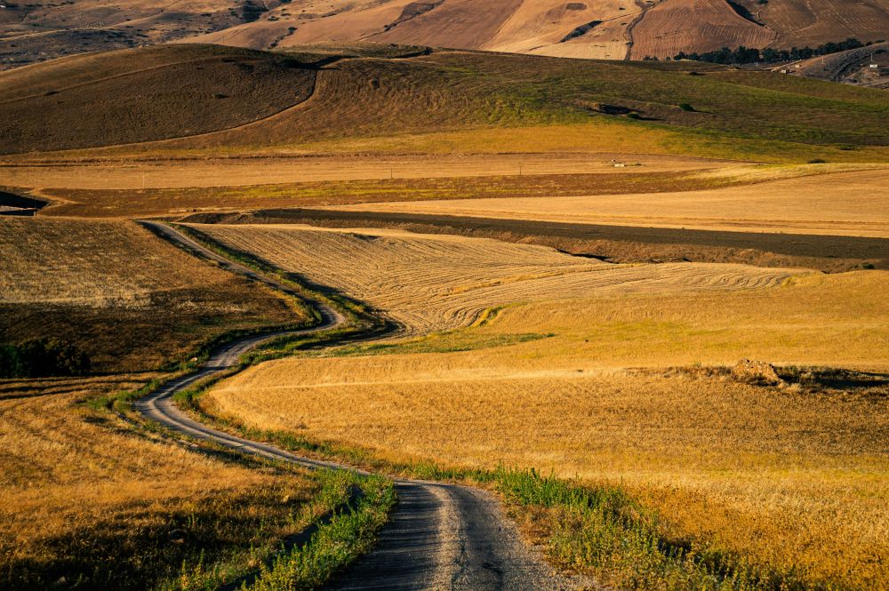 Contractor North Jutland