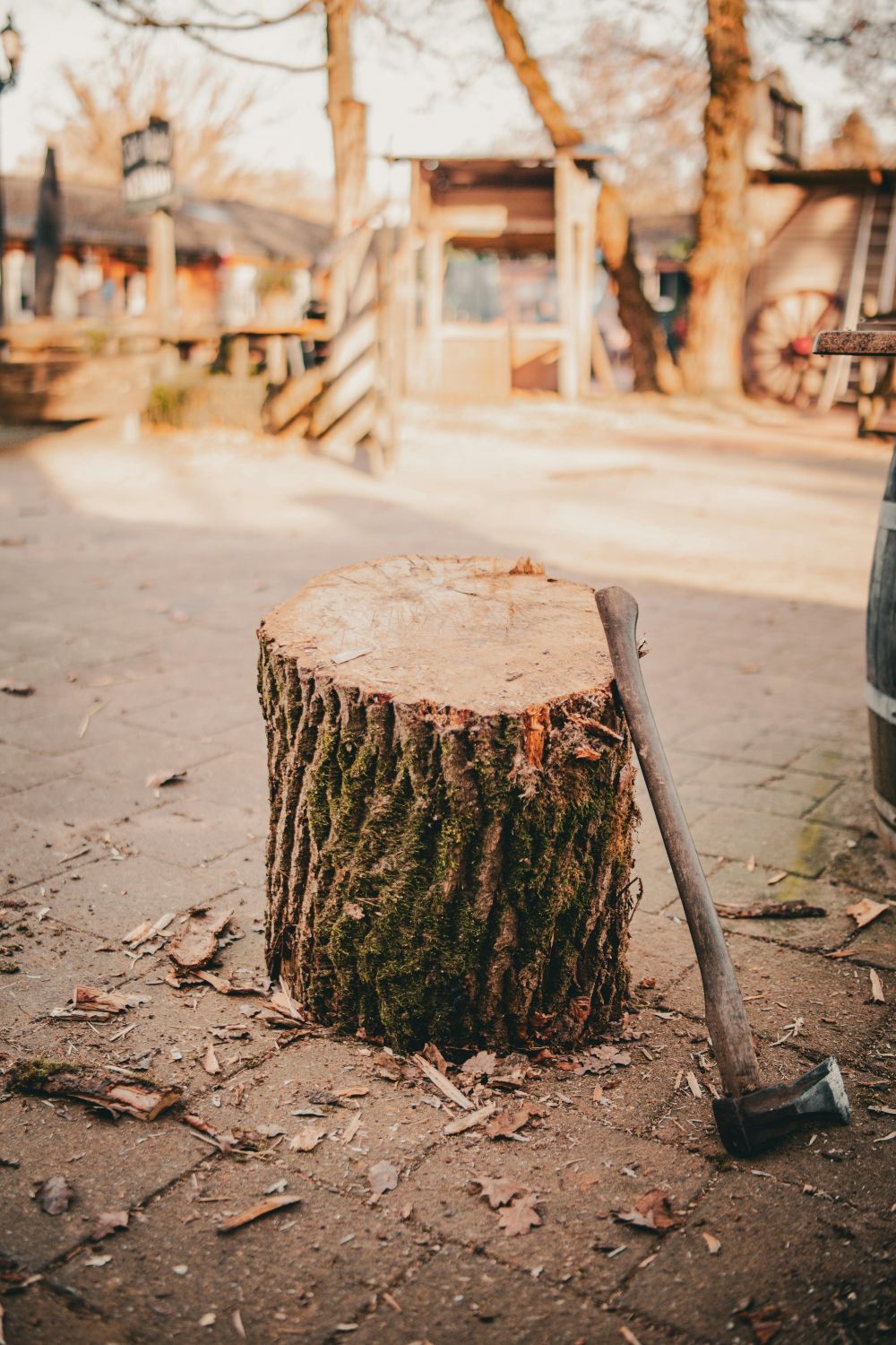 stump grinding sk&aring;ne