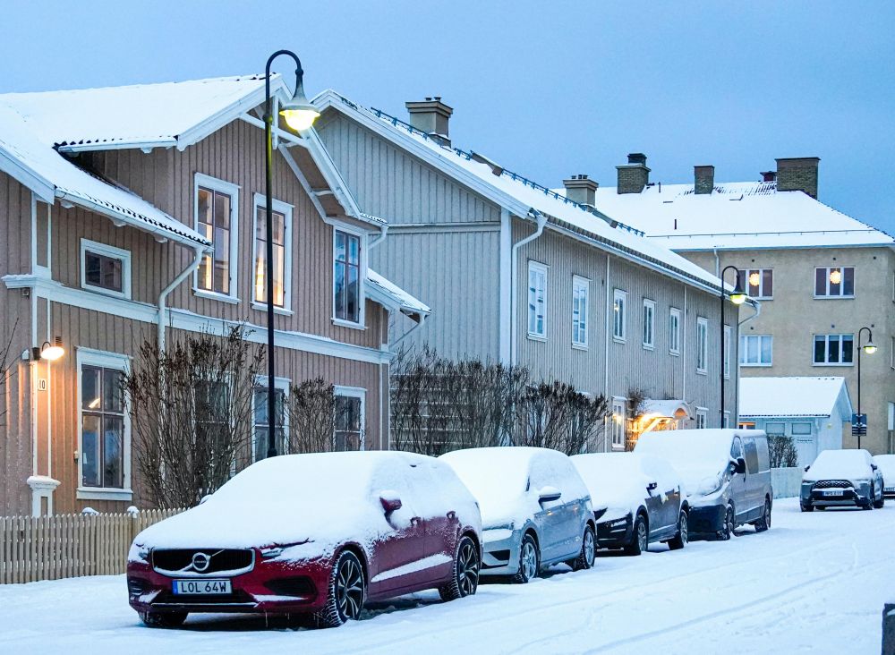 Reng&ouml;ring & Bilv&aring;rd