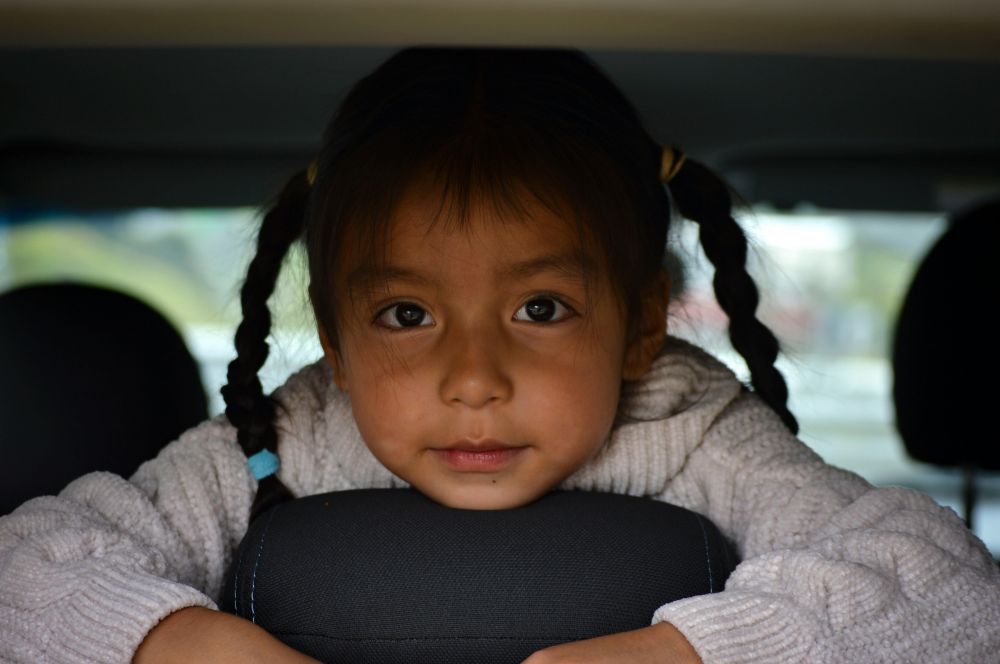 Reng&ouml;ring & Bilv&aring;rd