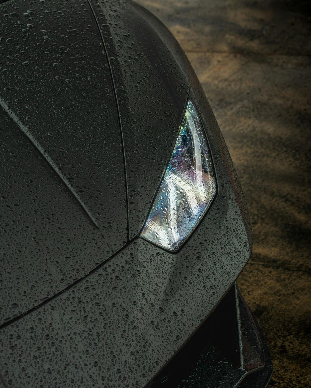 Reng&ouml;ring & Bilv&aring;rd