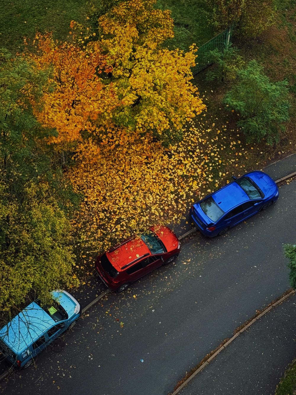 S&auml;songsf&ouml;rberedelser & Klimatanpassning