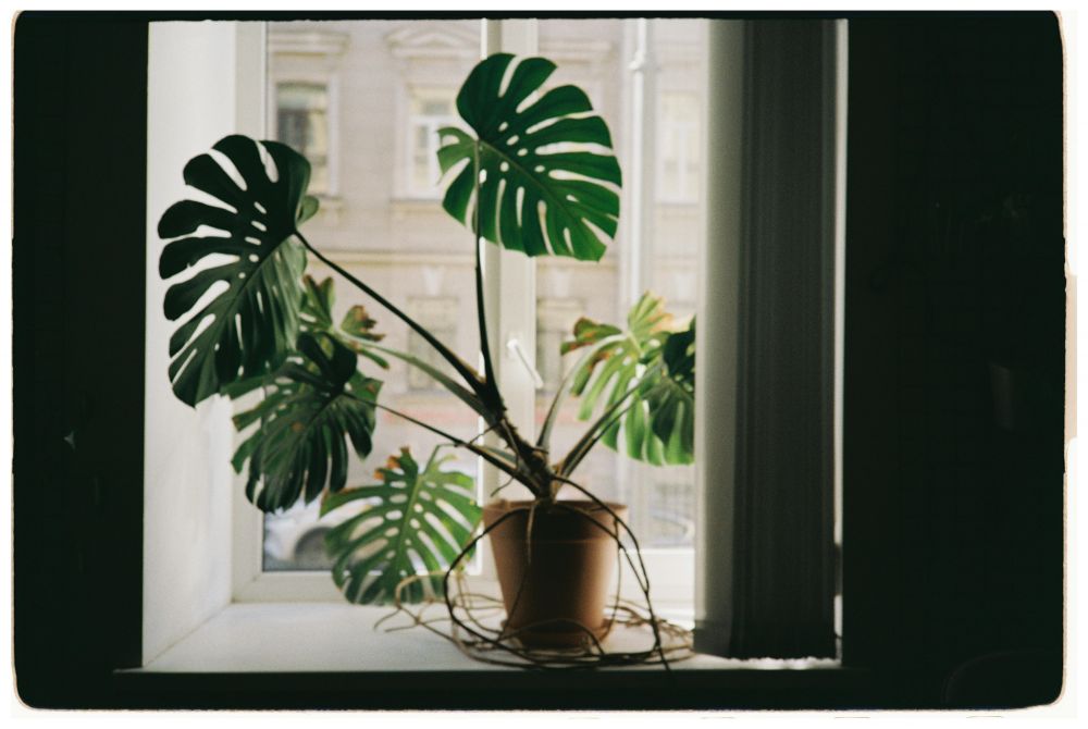 DIY & Makerprojekt