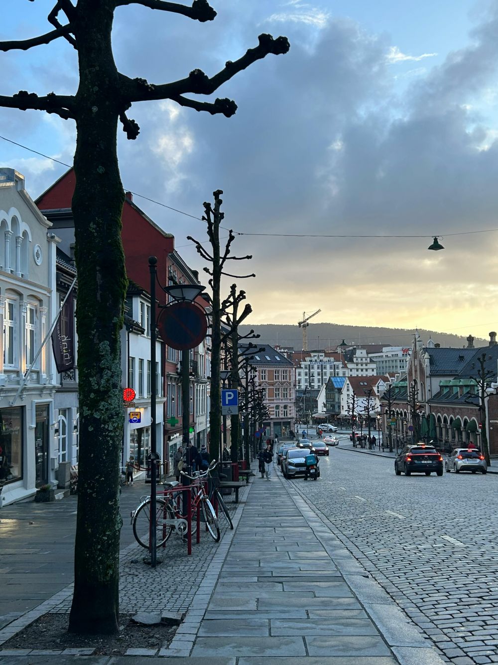 feiebil