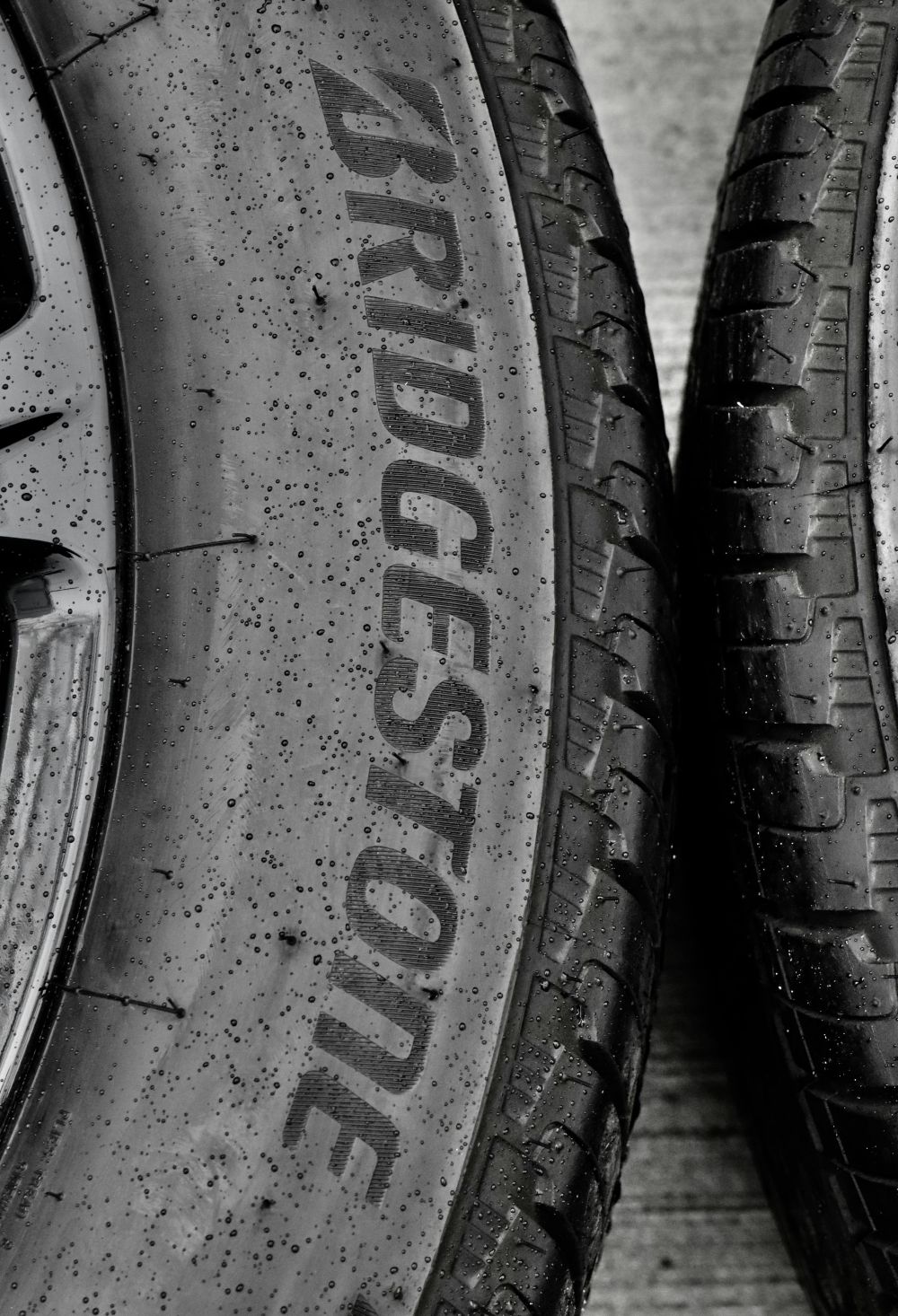 D&auml;ck, fj&auml;dring & v&auml;xell&aring;da