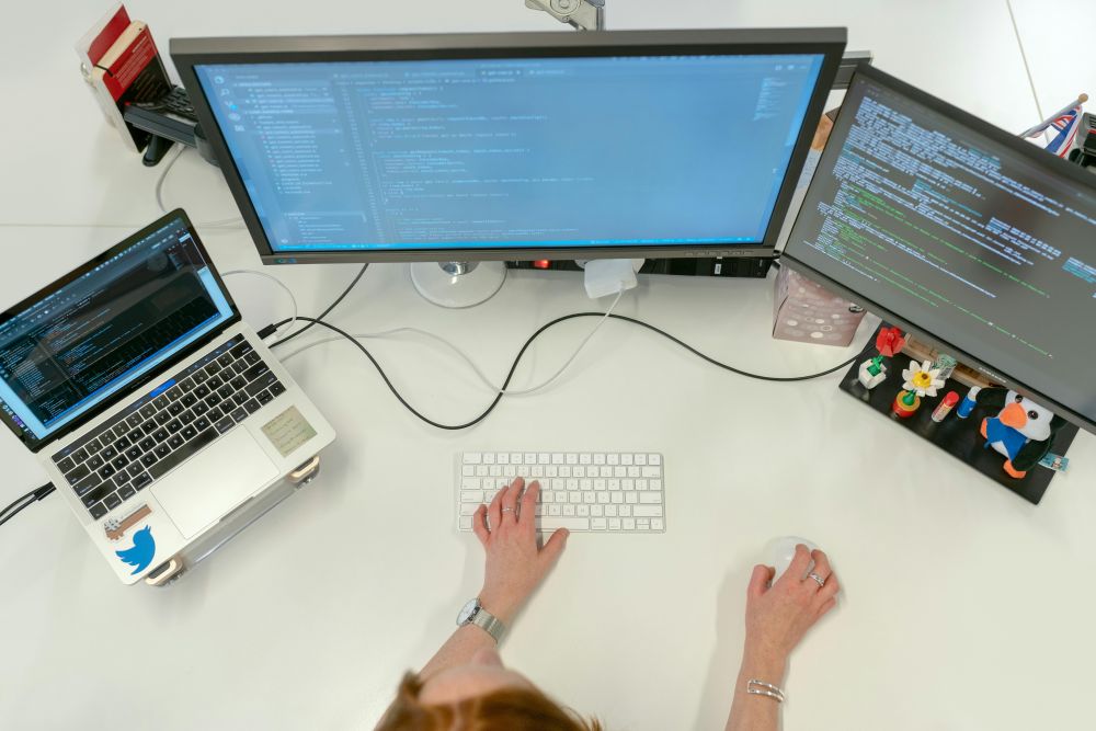 Mjukvara & Program