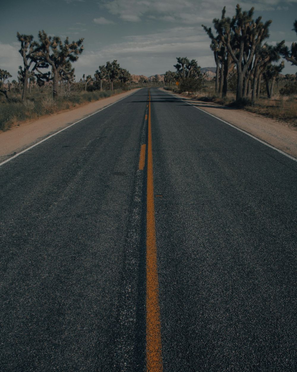 asphalt V&auml;ster&aring;s