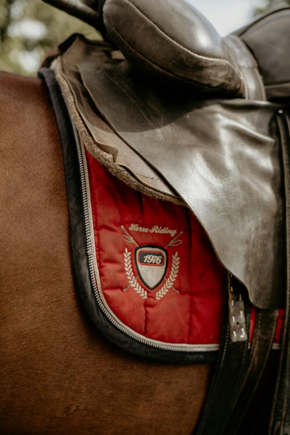 saddle testing