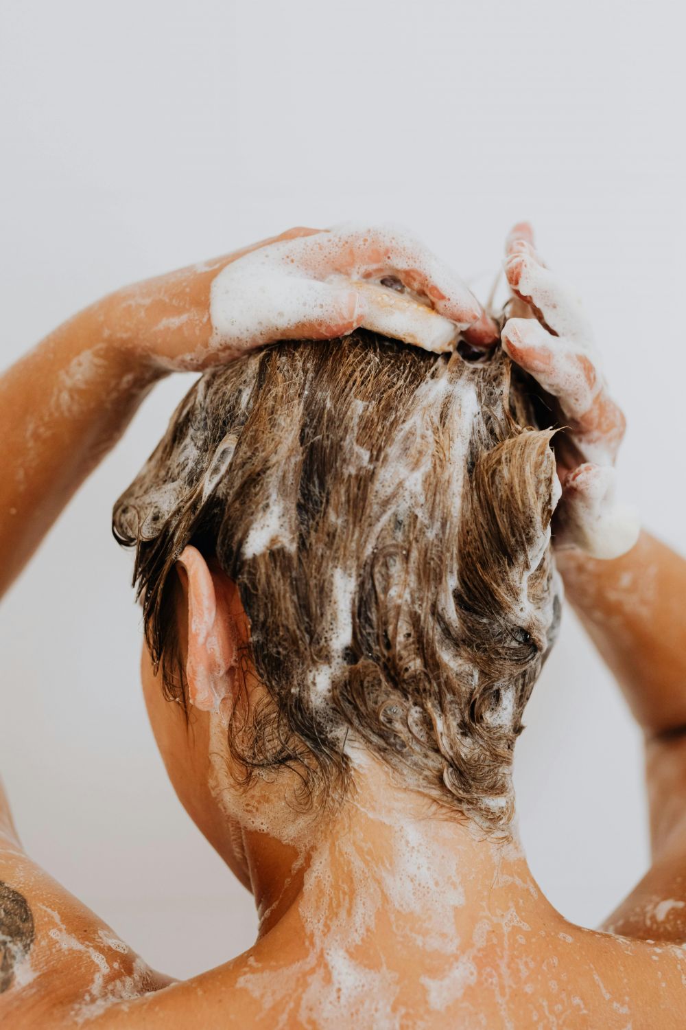 birch shampoo