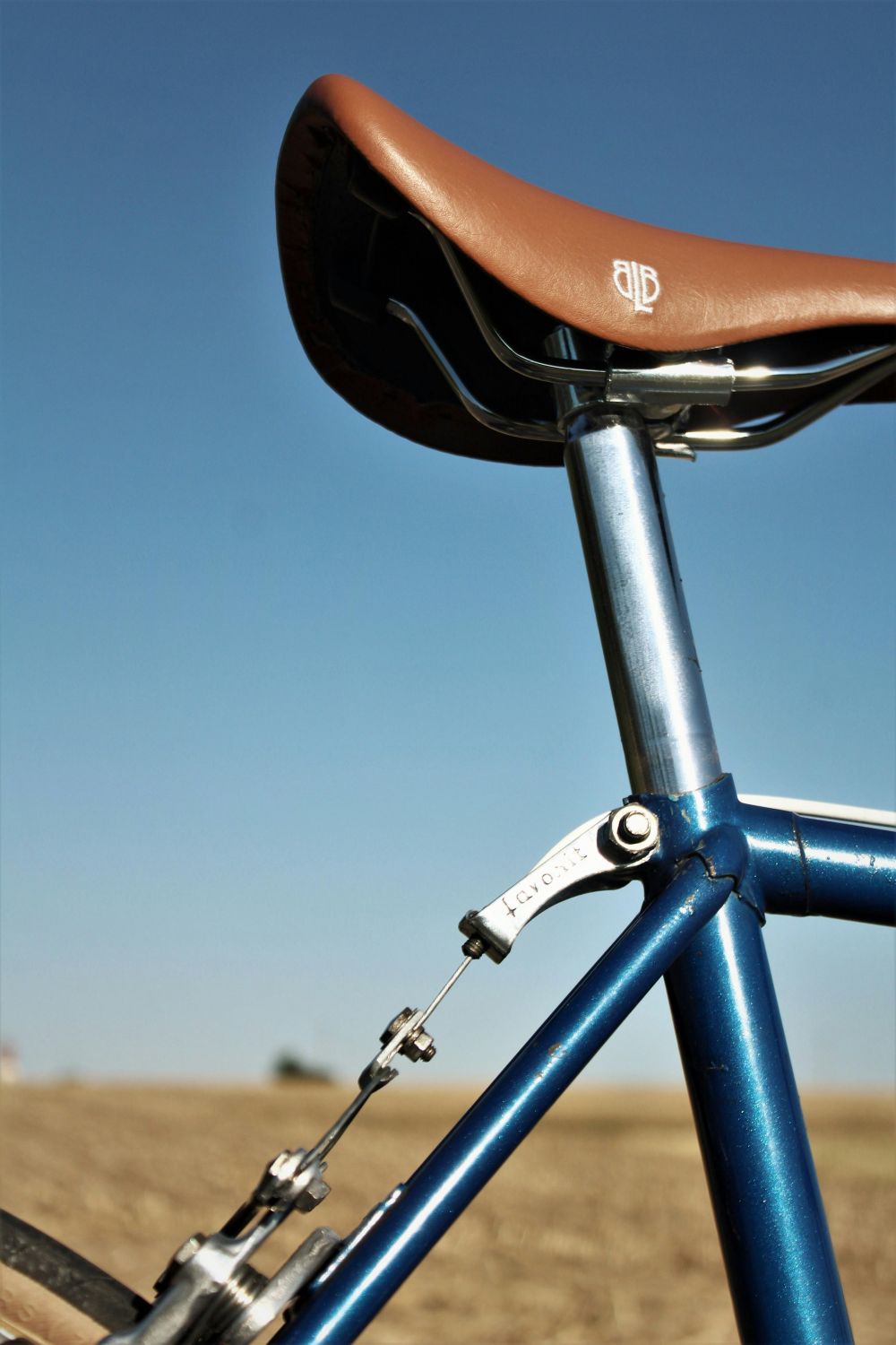 saddle testing