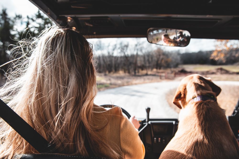 Resor & Roadtrips
