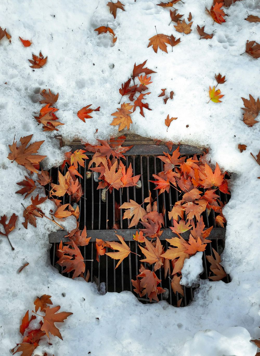 drainage Västerås