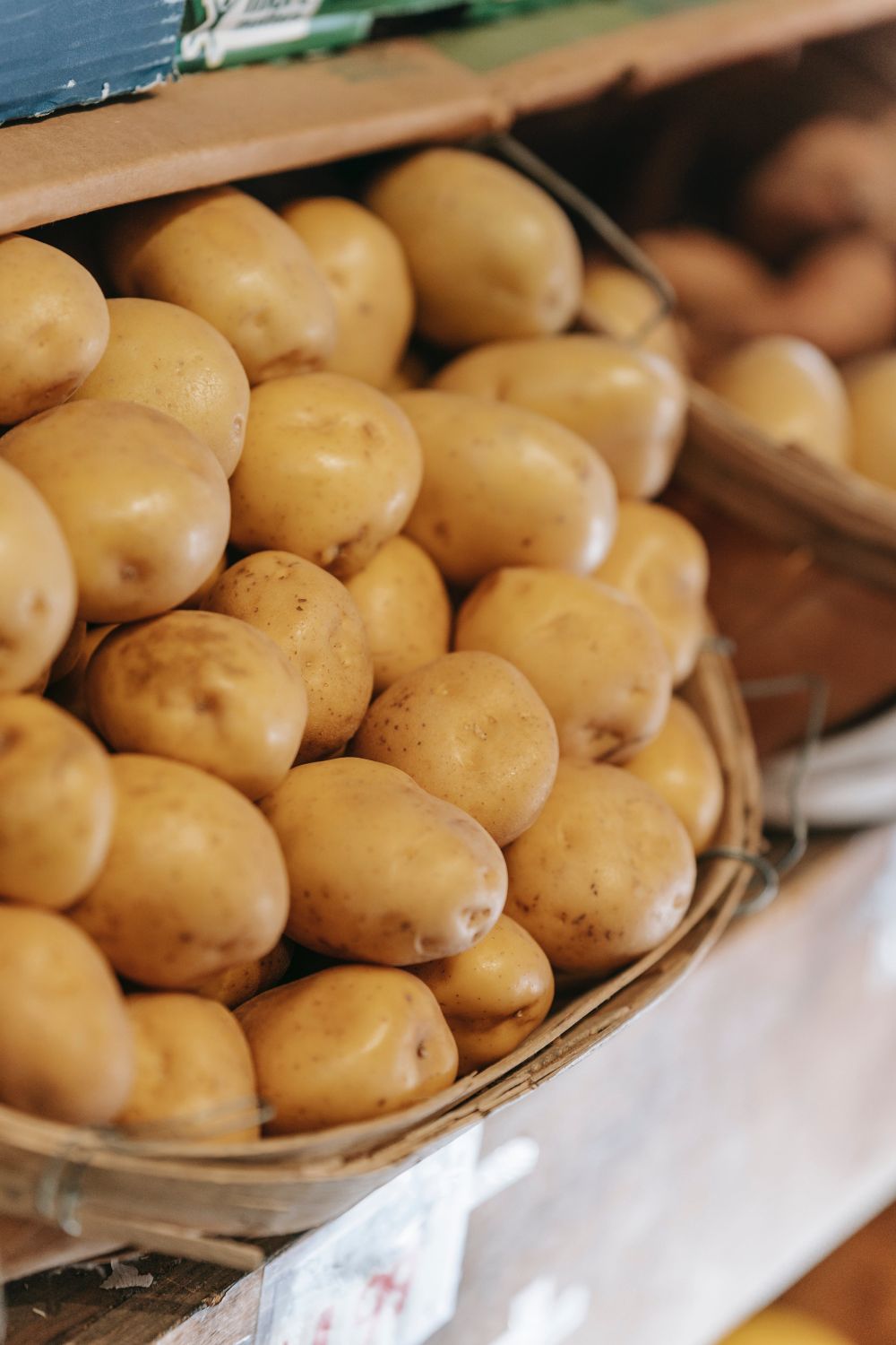 potato growers