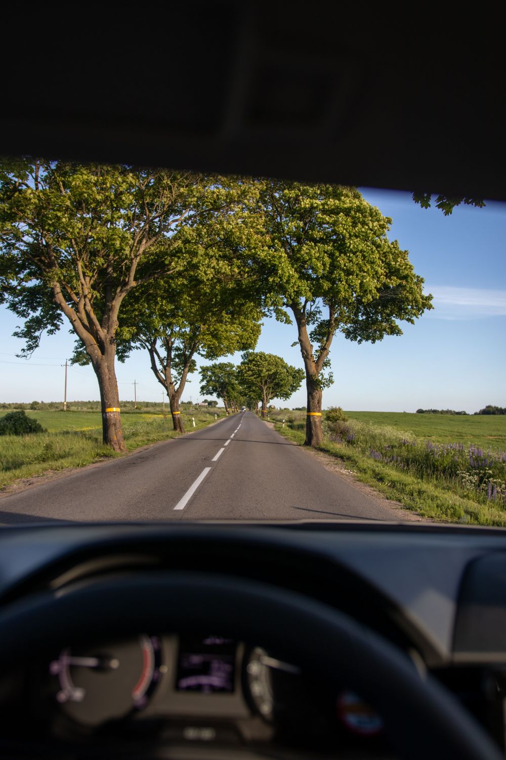 Borl&auml;nge Driving School