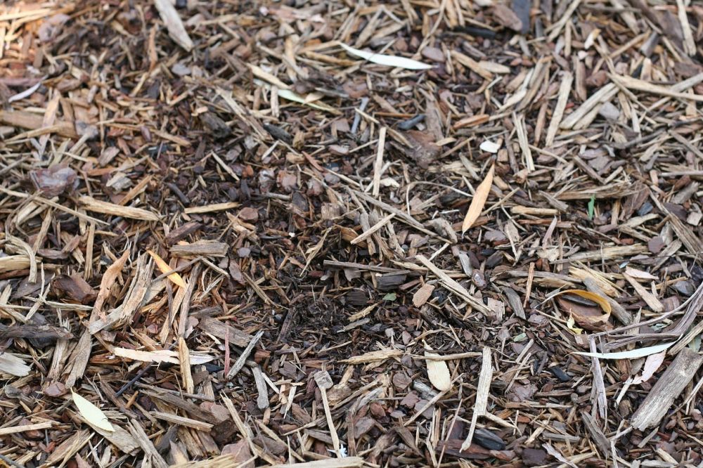 Soil and mulch