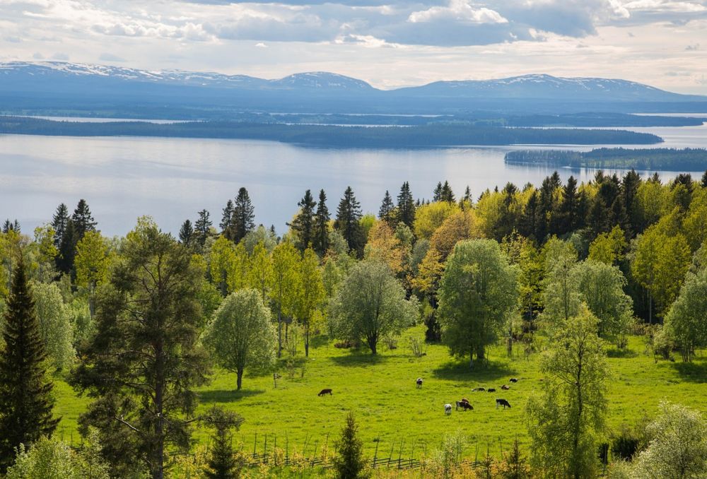 Grövelsjön boende