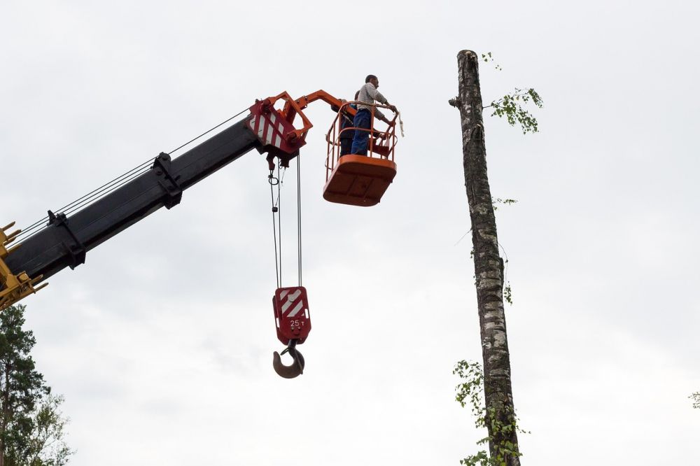 chainsaw